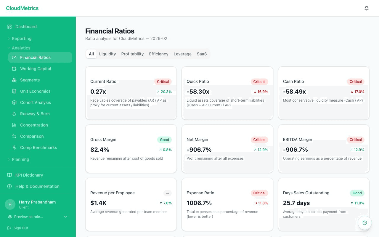 Financial ratios dashboard — Current Ratio, Quick Ratio, Gross Margin, Net Margin, and EBITDA Margin with color-coded status badges